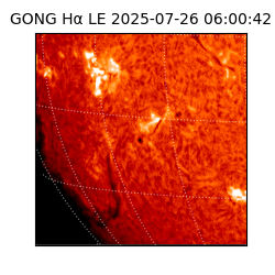 gong - 2025-07-26T06:00:42