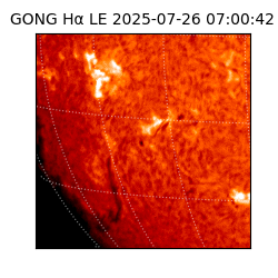 gong - 2025-07-26T07:00:42