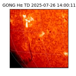 gong - 2025-07-26T14:00:11