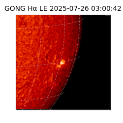 gong - 2025-07-26T03:00:42