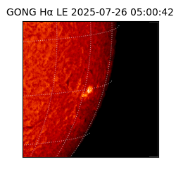 gong - 2025-07-26T05:00:42
