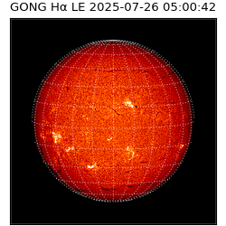gong - 2025-07-26T05:00:42