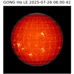 gong - 2025-07-26T06:00:42