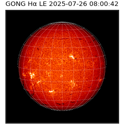 gong - 2025-07-26T08:00:42
