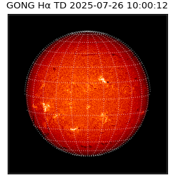 gong - 2025-07-26T10:00:12