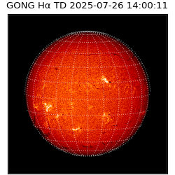 gong - 2025-07-26T14:00:11