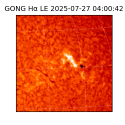 gong - 2025-07-27T04:00:42