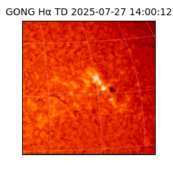 gong - 2025-07-27T14:00:12