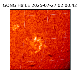 gong - 2025-07-27T02:00:42
