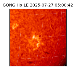 gong - 2025-07-27T05:00:42