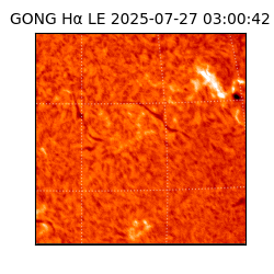 gong - 2025-07-27T03:00:42