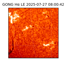 gong - 2025-07-27T08:00:42