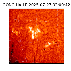 gong - 2025-07-27T03:00:42