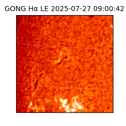 gong - 2025-07-27T09:00:42