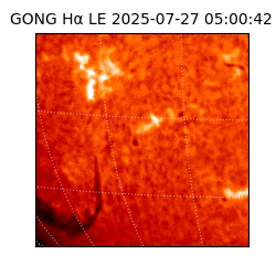 gong - 2025-07-27T05:00:42