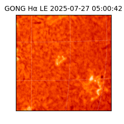 gong - 2025-07-27T05:00:42
