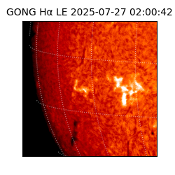 gong - 2025-07-27T02:00:42