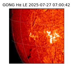 gong - 2025-07-27T07:00:42