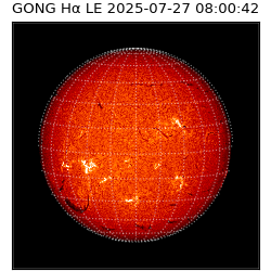 gong - 2025-07-27T08:00:42