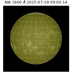 saia - 2025-07-28T09:00:14.126000