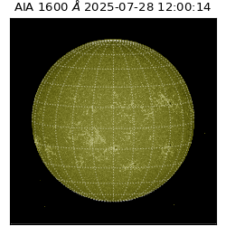 saia - 2025-07-28T12:00:14.126000