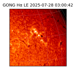 gong - 2025-07-28T03:00:42