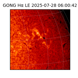 gong - 2025-07-28T06:00:42