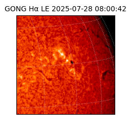 gong - 2025-07-28T08:00:42
