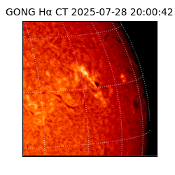 gong - 2025-07-28T20:00:42