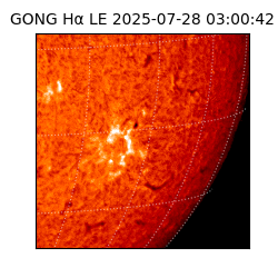 gong - 2025-07-28T03:00:42