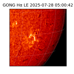 gong - 2025-07-28T05:00:42
