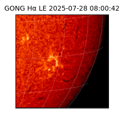 gong - 2025-07-28T08:00:42