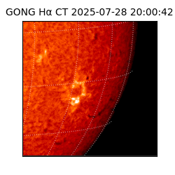 gong - 2025-07-28T20:00:42