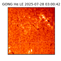 gong - 2025-07-28T03:00:42