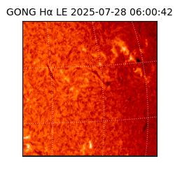 gong - 2025-07-28T06:00:42