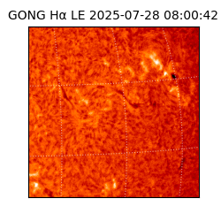 gong - 2025-07-28T08:00:42