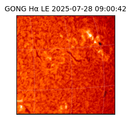 gong - 2025-07-28T09:00:42
