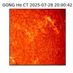 gong - 2025-07-28T20:00:42