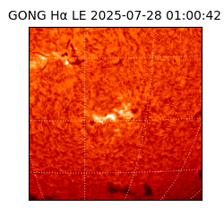 gong - 2025-07-28T01:00:42