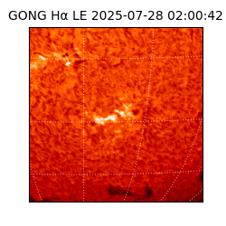 gong - 2025-07-28T02:00:42