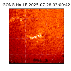 gong - 2025-07-28T03:00:42