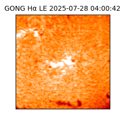 gong - 2025-07-28T04:00:42