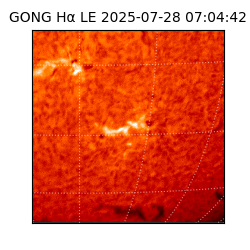 gong - 2025-07-28T07:04:42