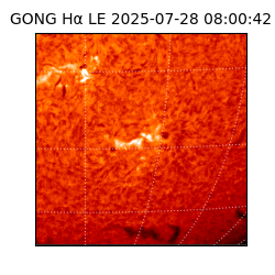 gong - 2025-07-28T08:00:42