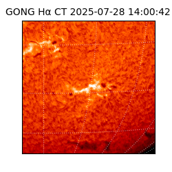 gong - 2025-07-28T14:00:42