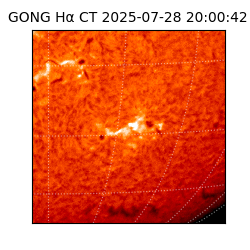 gong - 2025-07-28T20:00:42