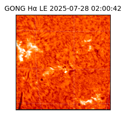 gong - 2025-07-28T02:00:42