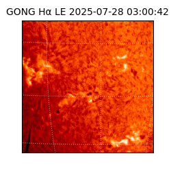 gong - 2025-07-28T03:00:42