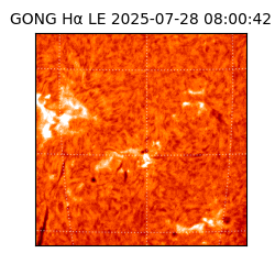 gong - 2025-07-28T08:00:42
