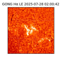 gong - 2025-07-28T02:00:42